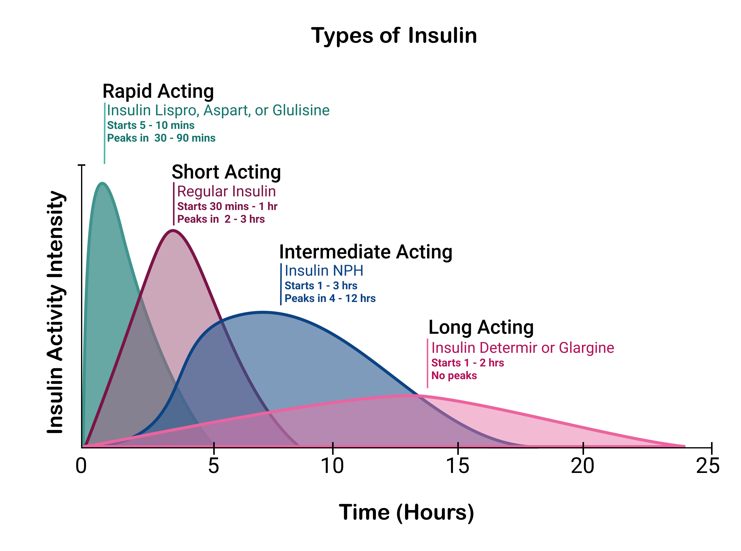 insulin-therapy-laura-shanemc-whorter-pharm-d-bcps