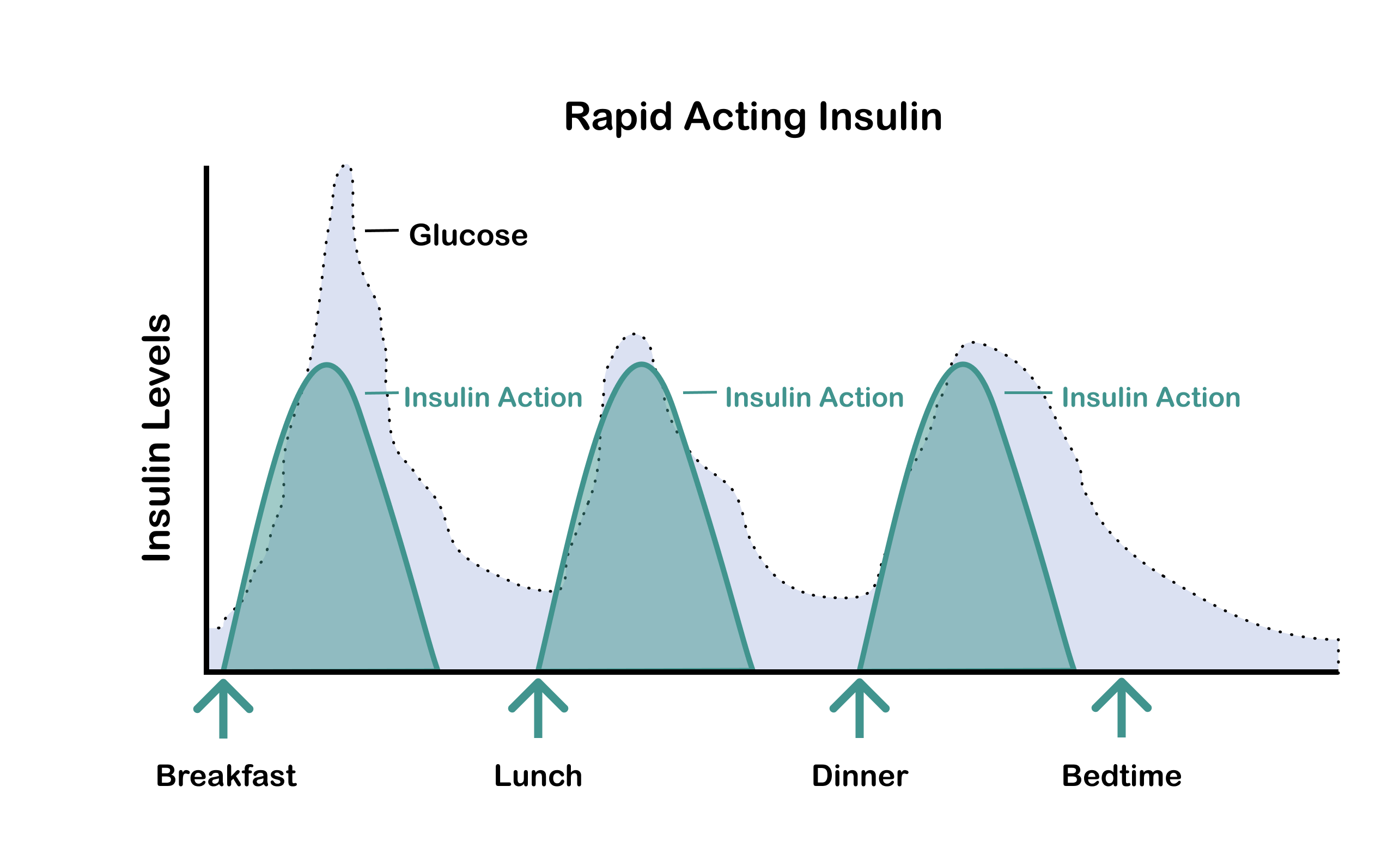 Insulin Time Chart